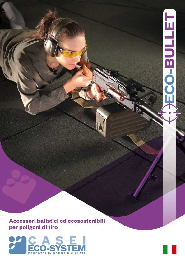 Copertina ECO BULLET IT