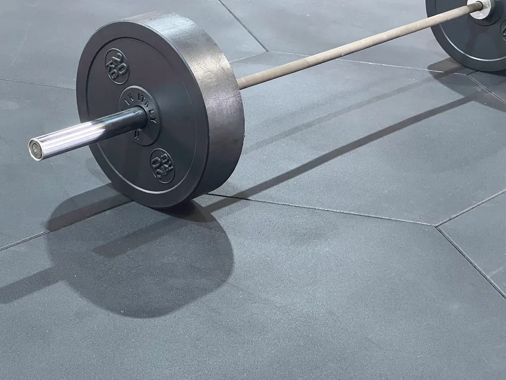 ECO-GYM TOP ESA 5 Close-up of the ECO-GYM TOP ESA compact finish beneath a barbell