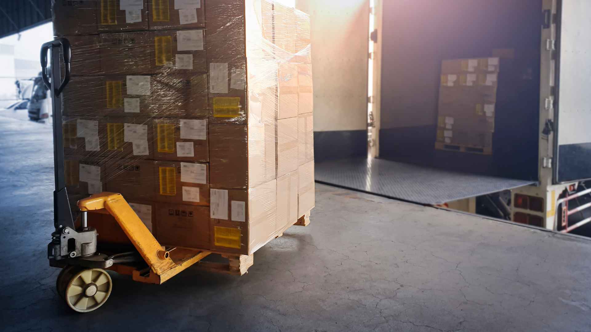 ECO-KARGRIP 1 Pallet di merce movimentato verso il vano di carico di un camion