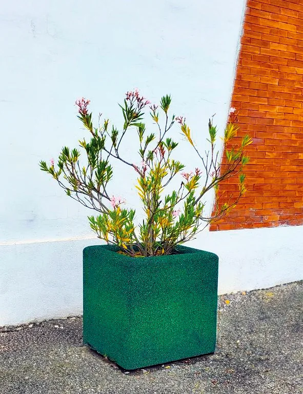 ECO-PLANTER L 7 ECO-PLANTER-Pflanzkübel, grün, mit Strauch