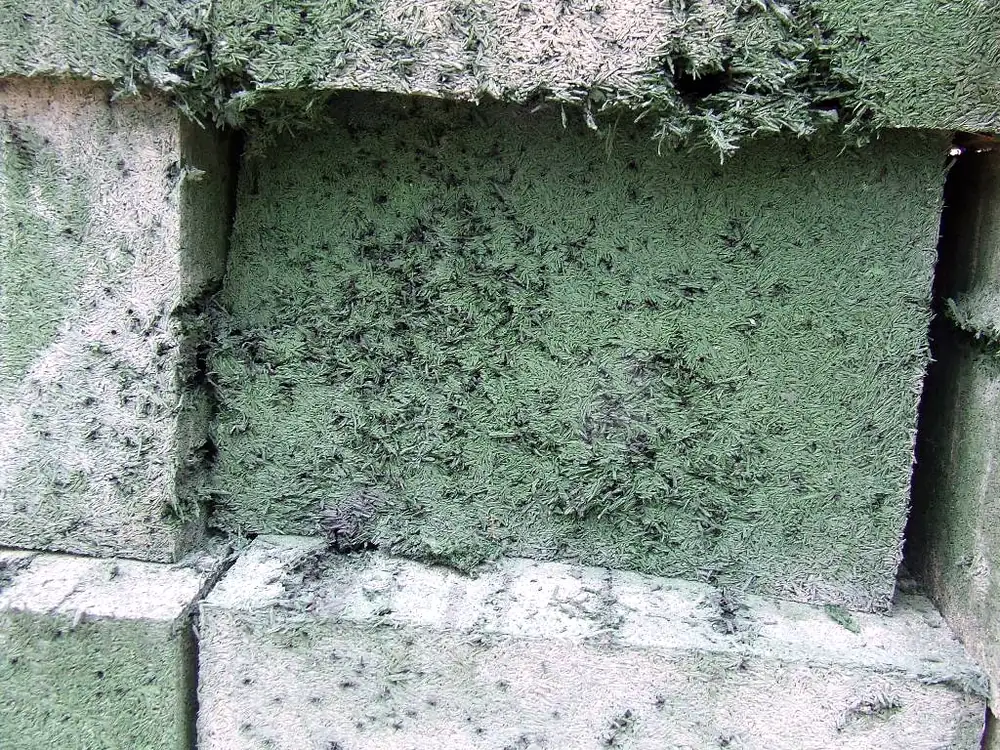 ECO-SHOOT 5 Close-up of the surface of an ECO-SHOOT wall after use